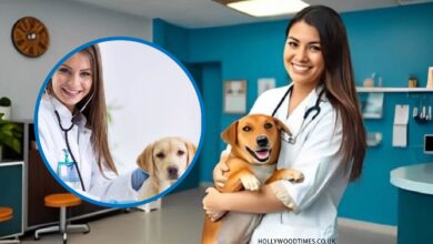ветеринарная клиника VetCityPets