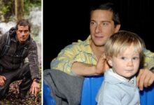 marmaduke mickey percy grylls